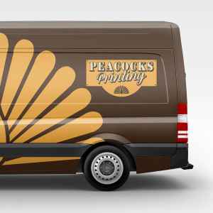 DIY van kits